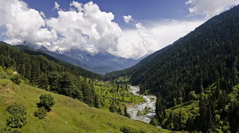 Words Without Borders: The Lepcha Language's Untranslatable Wisdom and What It Reveals About the Human Mind