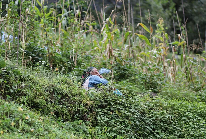 Sla-Slo: The Lepcha Word That Dissolves the Line Between Self and Society